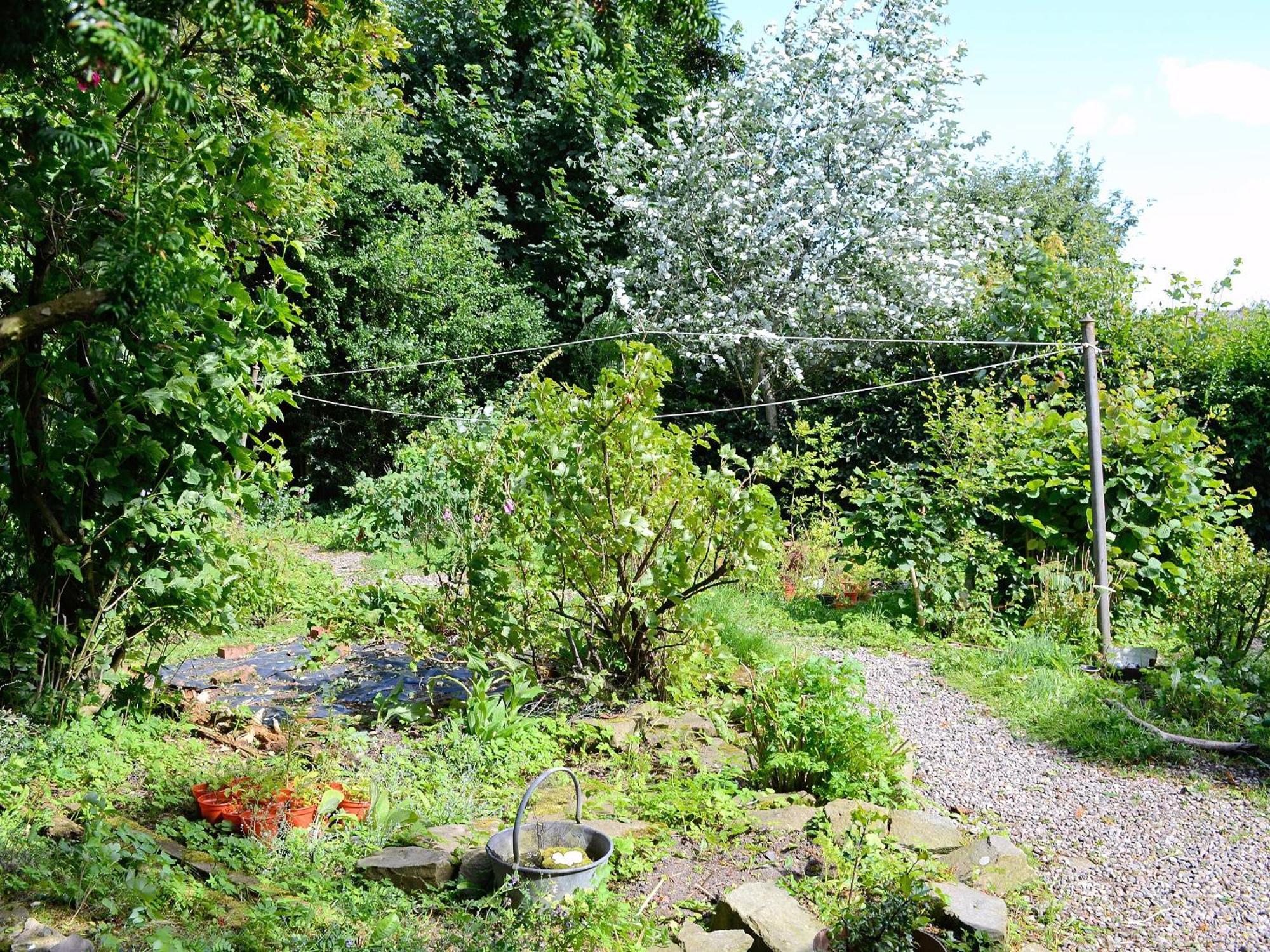 The Cottage Saint Cyrus Екстериор снимка